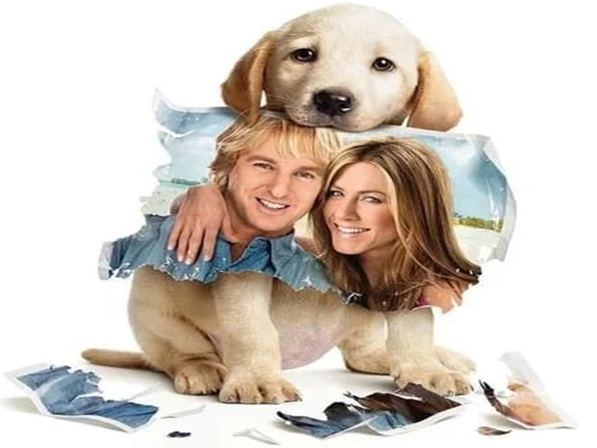 pawfect-movie-night-top-movies-to-watch-with-your-dog-cat-furry-friend-friendship-amazing-hollywood-english Pawfect Movie Night: Top Movies to watch with your Dog - Photo Gallery