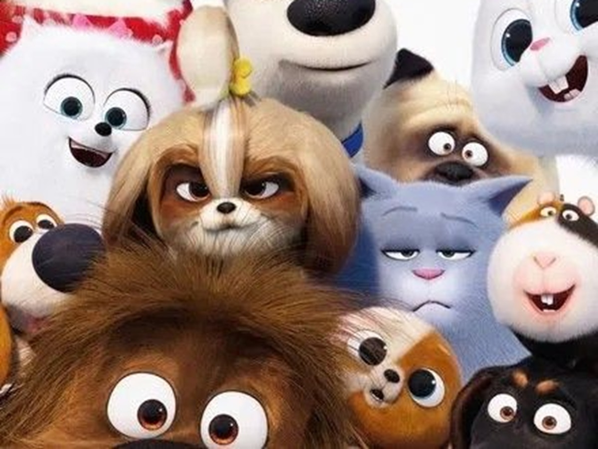 pawfect-movie-night-top-movies-to-watch-with-your-dog-cat-furry-friend-friendship-amazing-hollywood-english Pawfect Movie Night: Top Movies to watch with your Dog - Photo Gallery