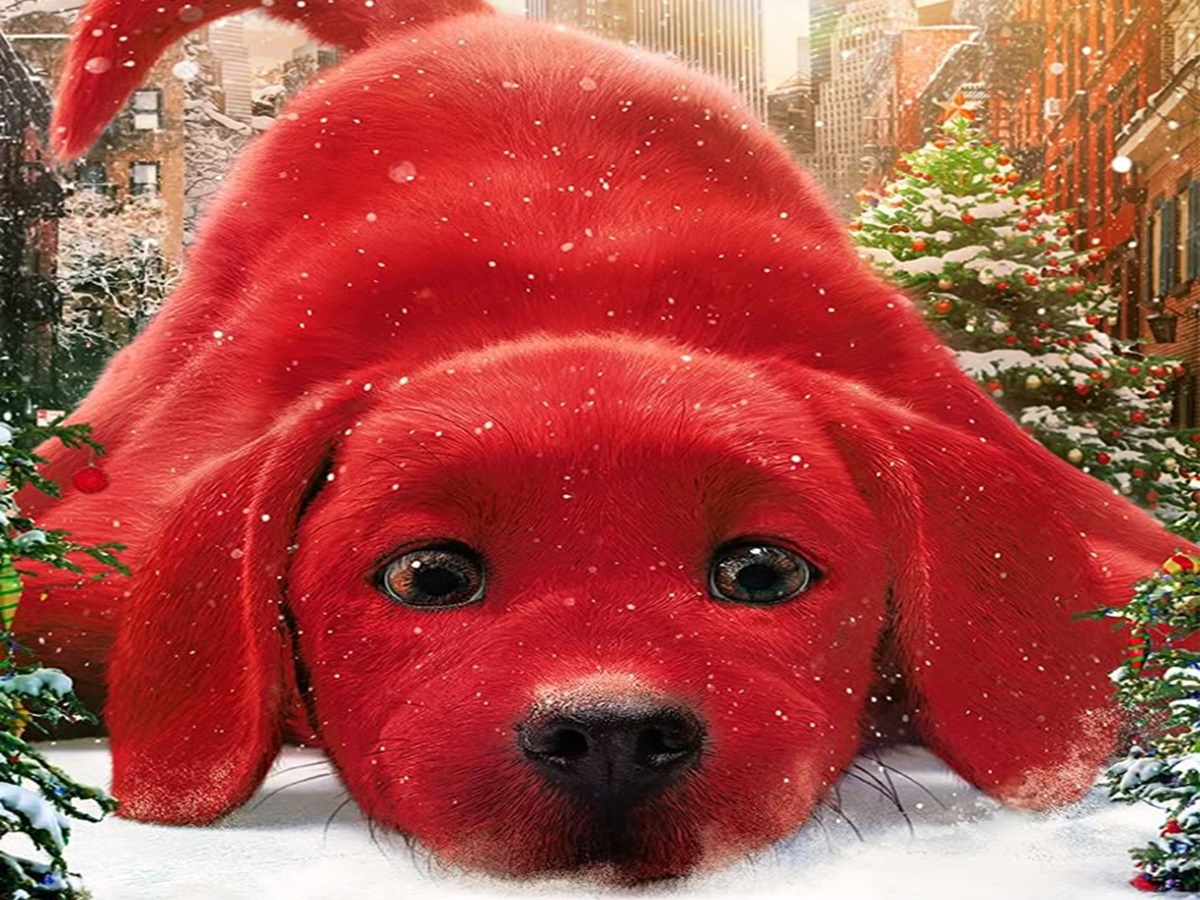 pawfect-movie-night-top-movies-to-watch-with-your-dog-cat-furry-friend-friendship-amazing-hollywood-english Pawfect Movie Night: Top Movies to watch with your Dog - Photo Gallery