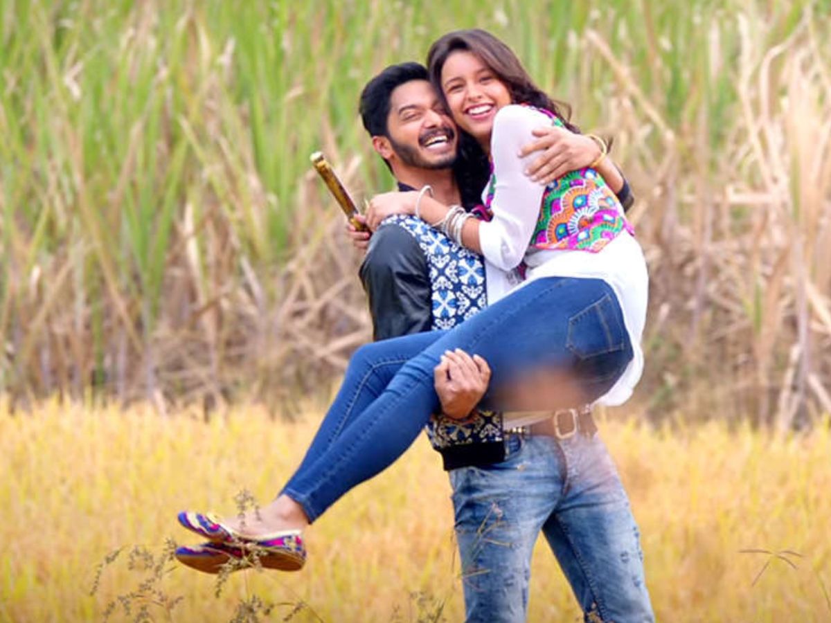 Dhadak 2 Countdown: 7 Movies of Triptii Dimri To Watch Before Her New Release - Photo Gallery