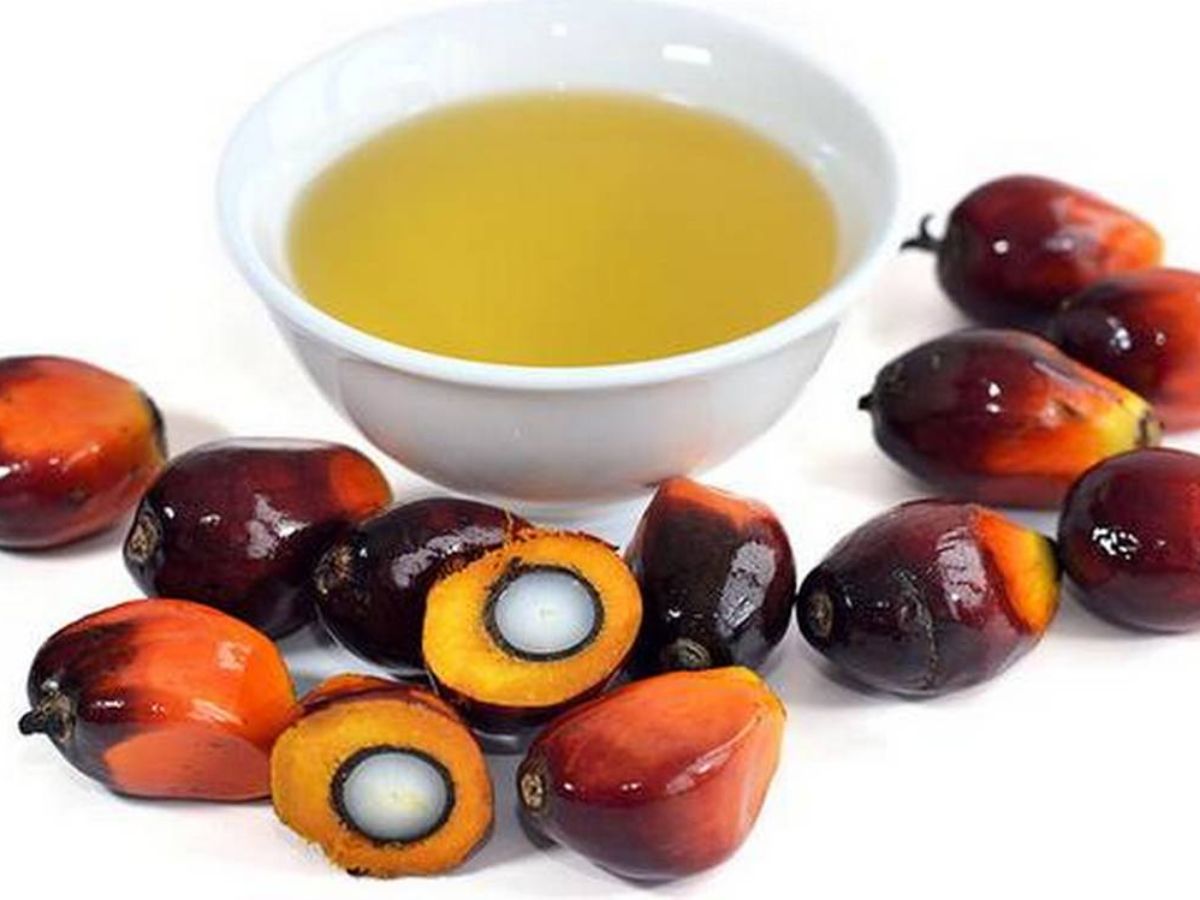 6-cooking-oils-you-should-stop-using-right-now-that-could-be-harming-your-health-daily 6 Cooking Oils You Should Stop Using Right Now for a Healthier Life - Photo Gallery