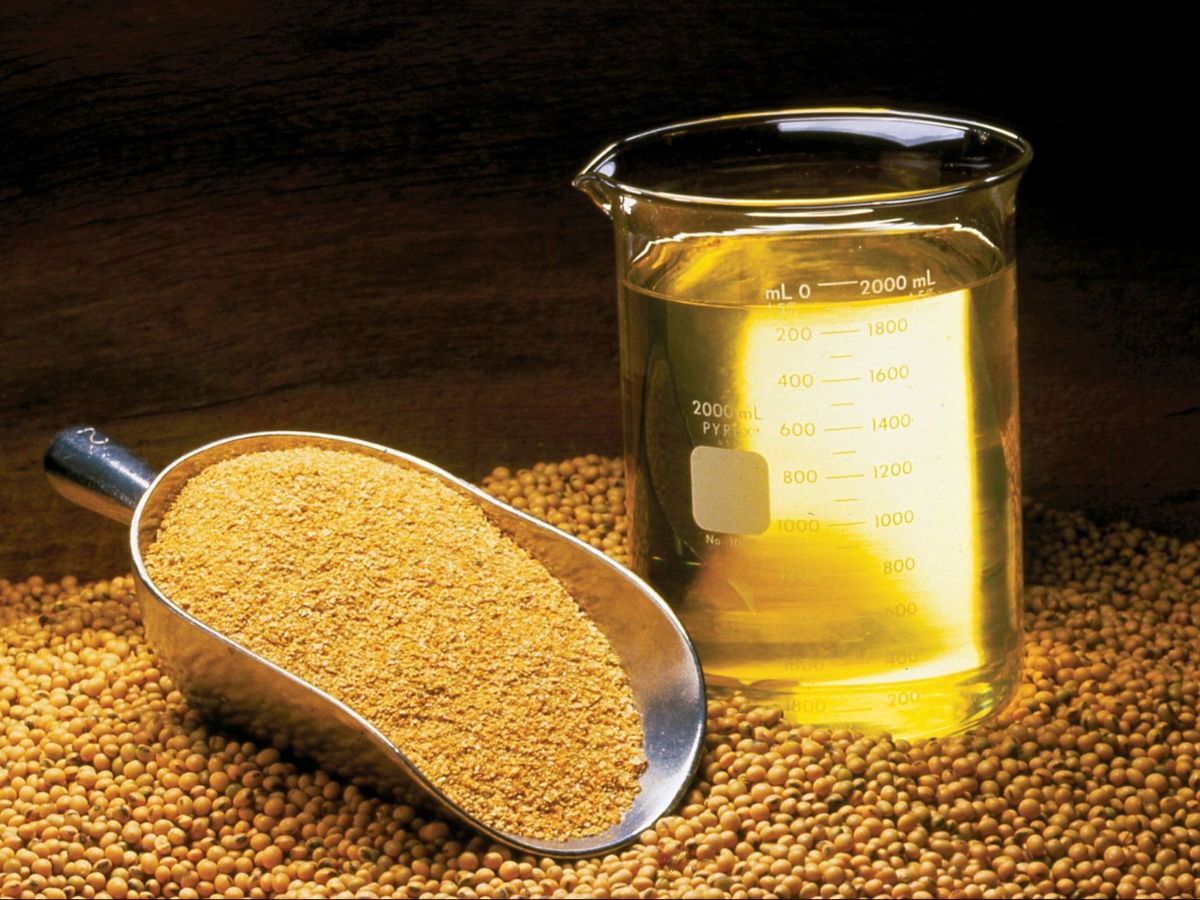 6-cooking-oils-you-should-stop-using-right-now-that-could-be-harming-your-health-daily 6 Cooking Oils You Should Stop Using Right Now for a Healthier Life - Photo Gallery