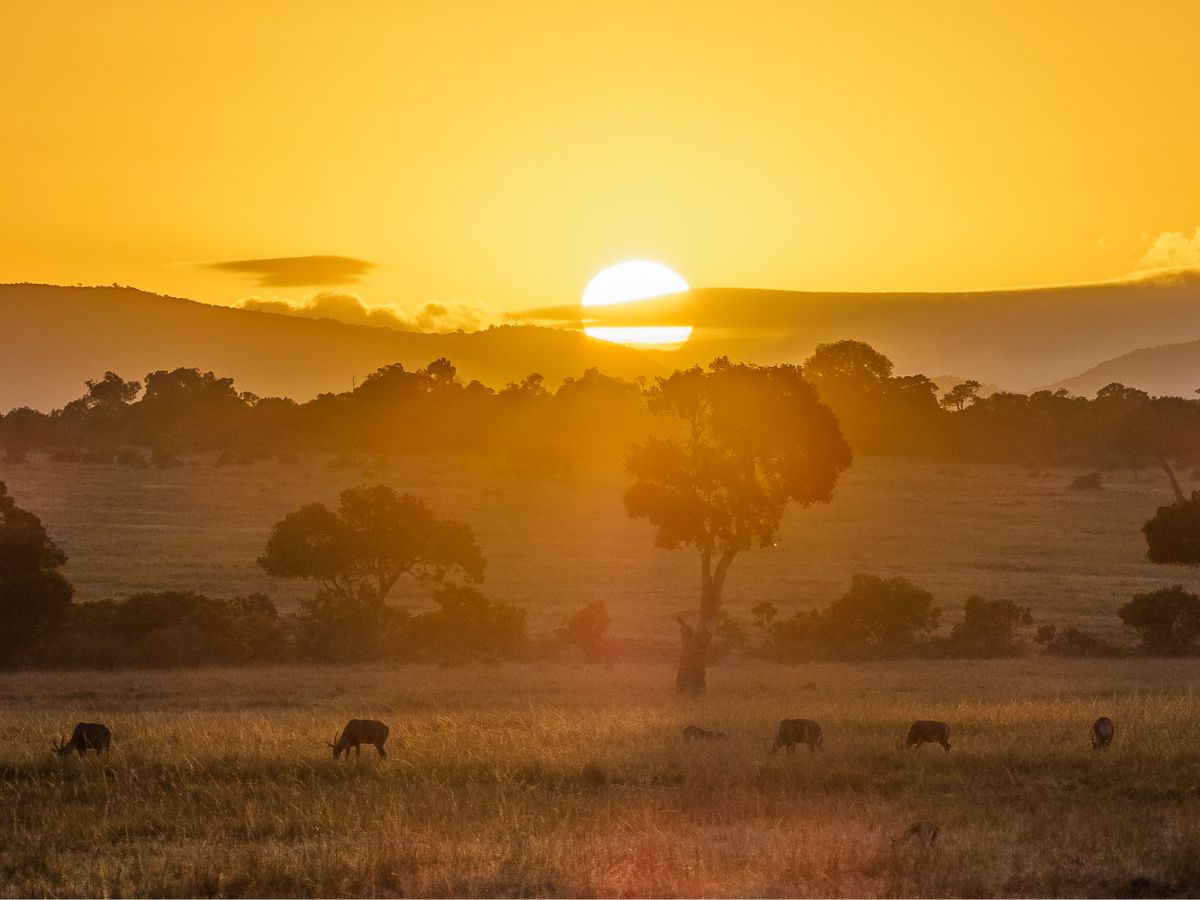from-mount-haleakala-hawai-to-cappadocia-turkey-7-epic-sunrise-and-sunset-spots-that-offers-breathtaking-sky-views 7 Epic Sunrise and Sunset Spots That Offers Breathtaking Sky Views - Photo Gallery