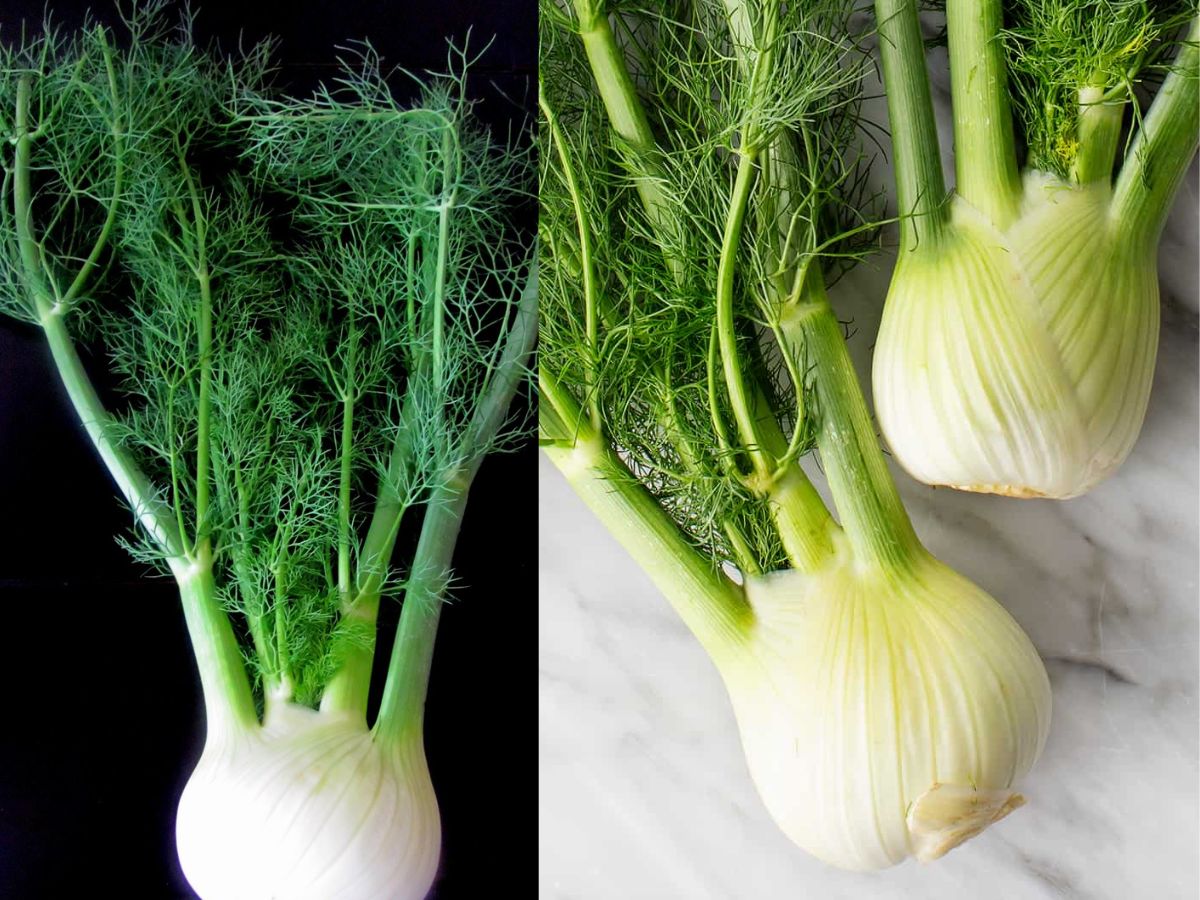 No Onion, No Garlic? Delicious Alternatives for Rich and Aromatic Meals - Photo Gallery