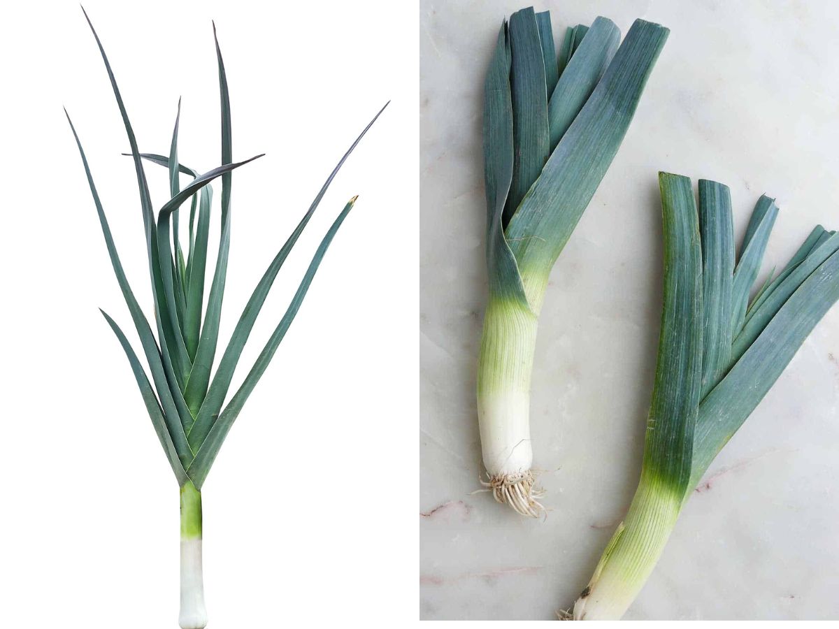 No Onion, No Garlic? Delicious Alternatives for Rich and Aromatic Meals - Photo Gallery