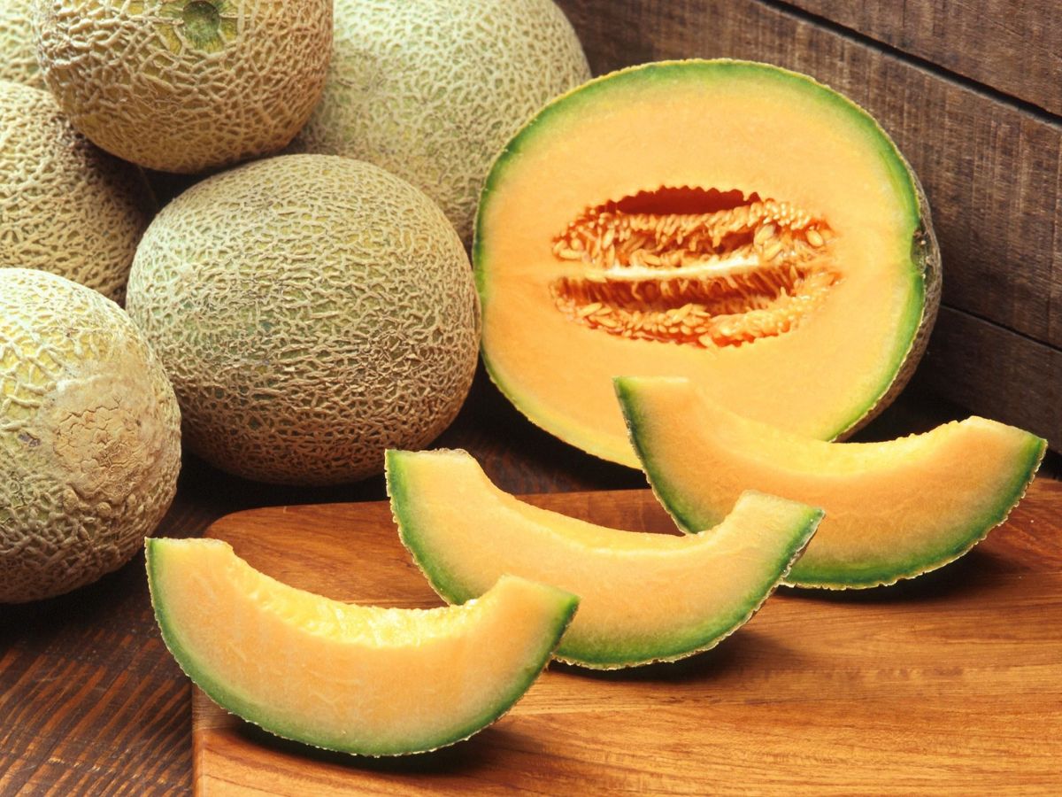 is-muskmelon-safe-for-people-with-low-blood-pressure-benefits-side-effects-and-precautions Is Muskmelon Safe for People With Low Blood Pressure? Check Facts - Photo Gallery