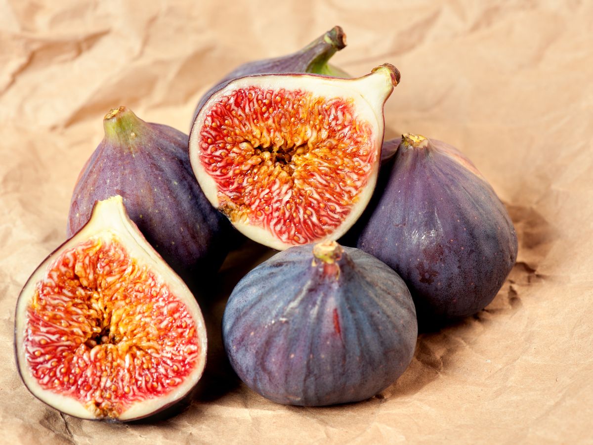 what-are-the-amazing-health-benefits-of-eating-soaked-anjeer-figs-daily-on-an-empty-stomach-naturally-improve-digestion-skin-heart-and-bone-health 7 Amazing Benefits of Eating Soaked Anjeer Daily on an Empty Stomach - Photo Gallery