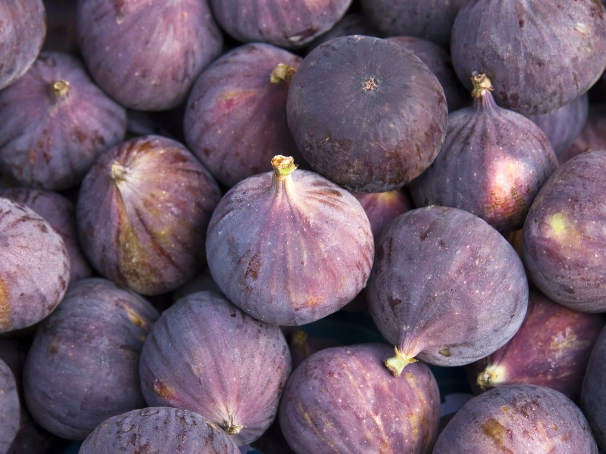 what-are-the-amazing-health-benefits-of-eating-soaked-anjeer-figs-daily-on-an-empty-stomach-naturally-improve-digestion-skin-heart-and-bone-health 7 Amazing Benefits of Eating Soaked Anjeer Daily on an Empty Stomach - Photo Gallery
