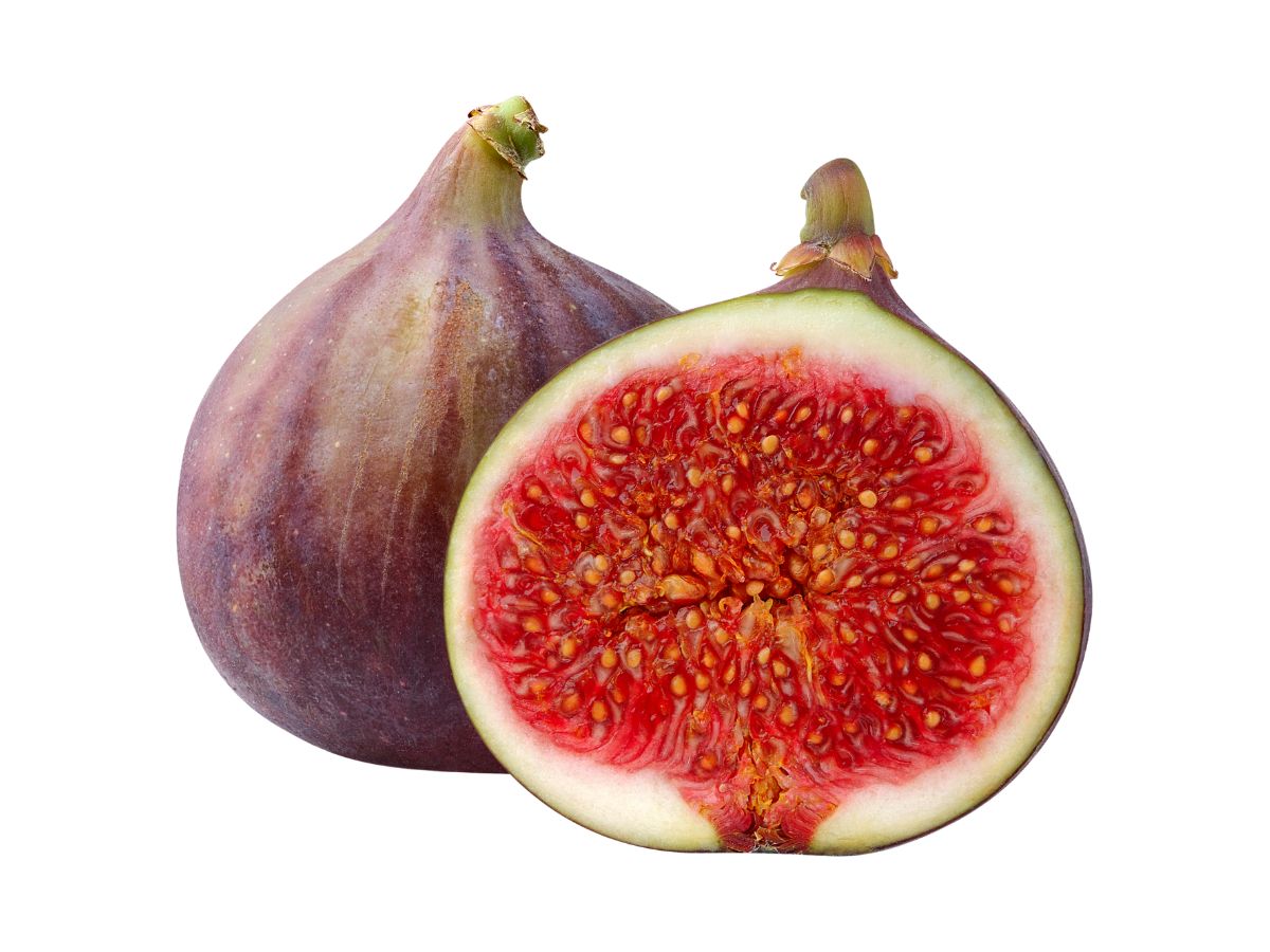 what-are-the-amazing-health-benefits-of-eating-soaked-anjeer-figs-daily-on-an-empty-stomach-naturally-improve-digestion-skin-heart-and-bone-health 7 Amazing Benefits of Eating Soaked Anjeer Daily on an Empty Stomach - Photo Gallery