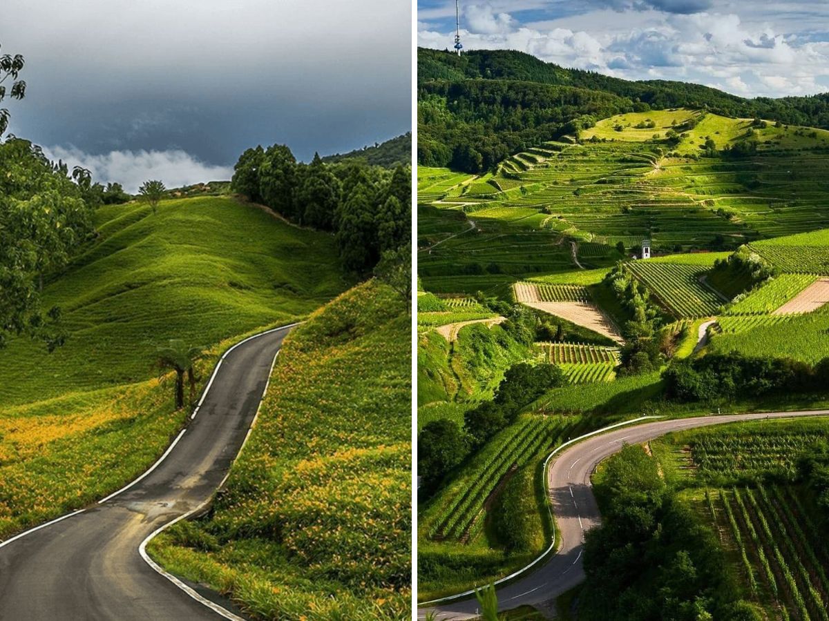 long-weekend-coming-here-are-perfect-places-to-unwind-this-august Coorg(Image Credit-Pinterest) - Photo Gallery