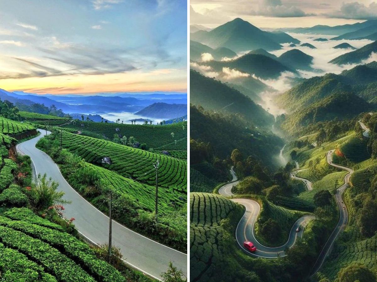long-weekend-coming-here-are-perfect-places-to-unwind-this-august Munnar (Image Credit-Pinterest) - Photo Gallery