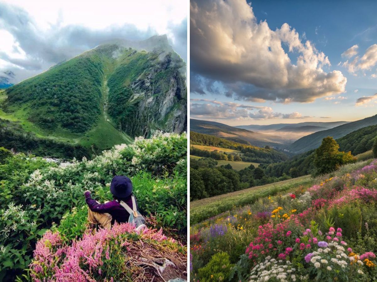 long-weekend-coming-here-are-perfect-places-to-unwind-this-august Valley of Flowers (Image Credit-Pinterest) - Photo Gallery