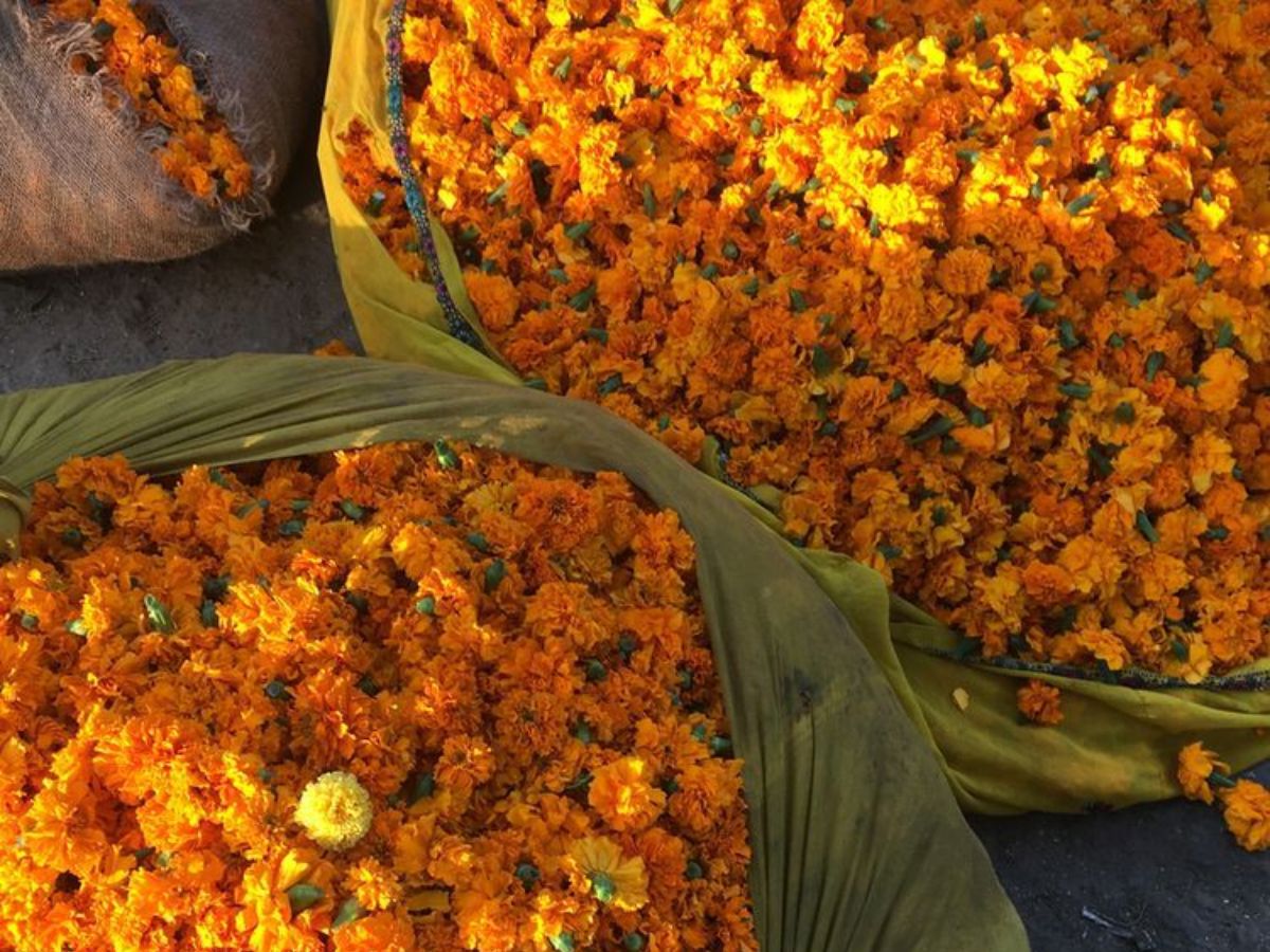 you-wont-believe-what-these-puja-offerings-actually-symbolize-in-pics Image credit: Pinterest - Photo Gallery