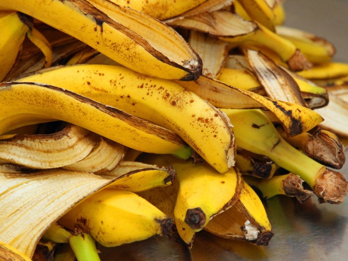 everyday-kitchen-items-that-double-as-effective-natural-fertilisers-for-your-plants 6 Everyday Kitchen Items That Can Double As Effective Natural Fertilisers For Plants - Photo Gallery