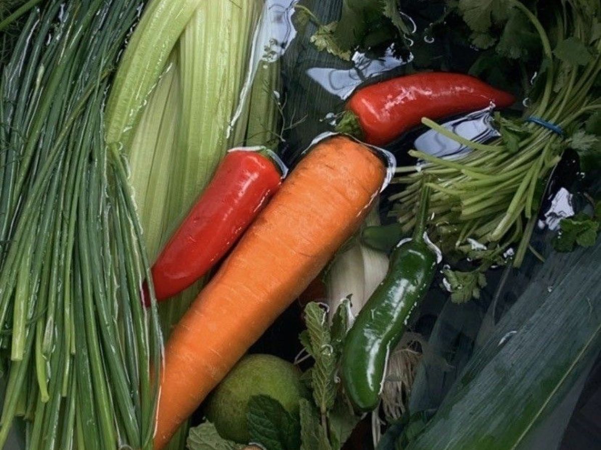 everyday-kitchen-items-that-double-as-effective-natural-fertilisers-for-your-plants 6 Everyday Kitchen Items That Can Double As Effective Natural Fertilisers For Plants - Photo Gallery