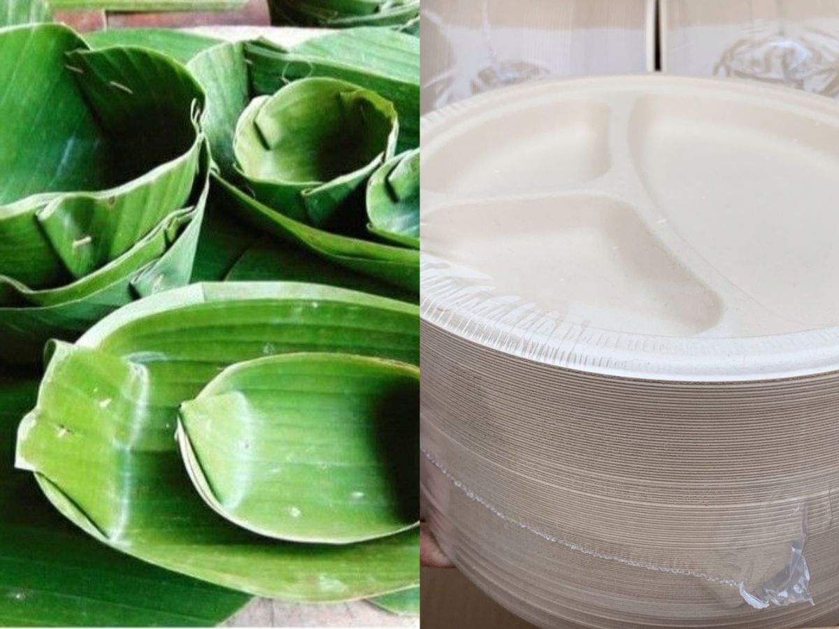 sustainable-serving-why-banana-leaf-plates-are-a-natural-choice-in-pics Image Credit- Pinterest - Photo Gallery