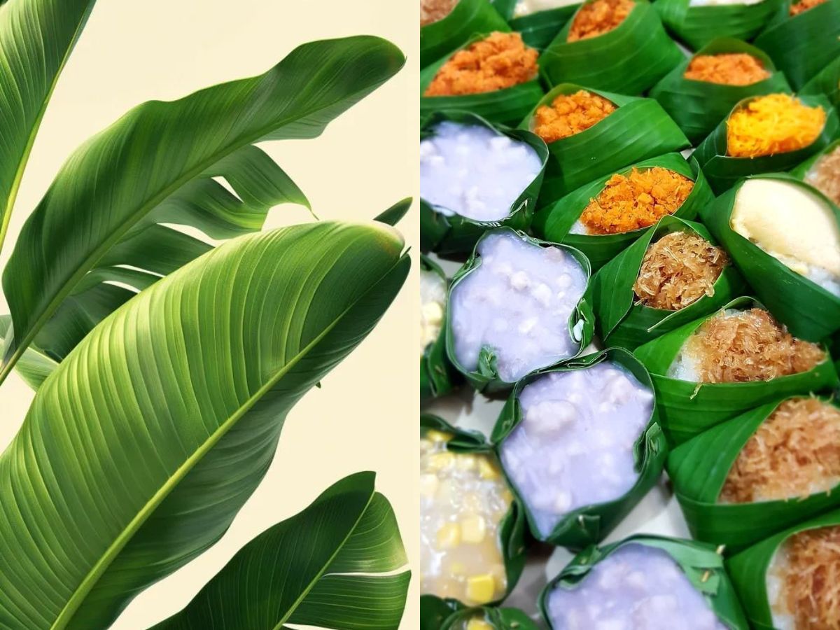 sustainable-serving-why-banana-leaf-plates-are-a-natural-choice-in-pics Image Credit- Pinterest - Photo Gallery