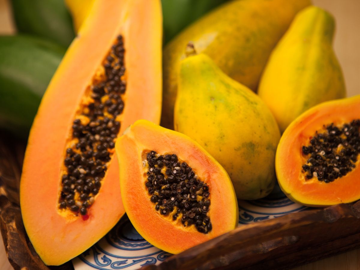 Kiwi VS Papaya: Which Is Better for Your Health During Dengue? - Photo Gallery