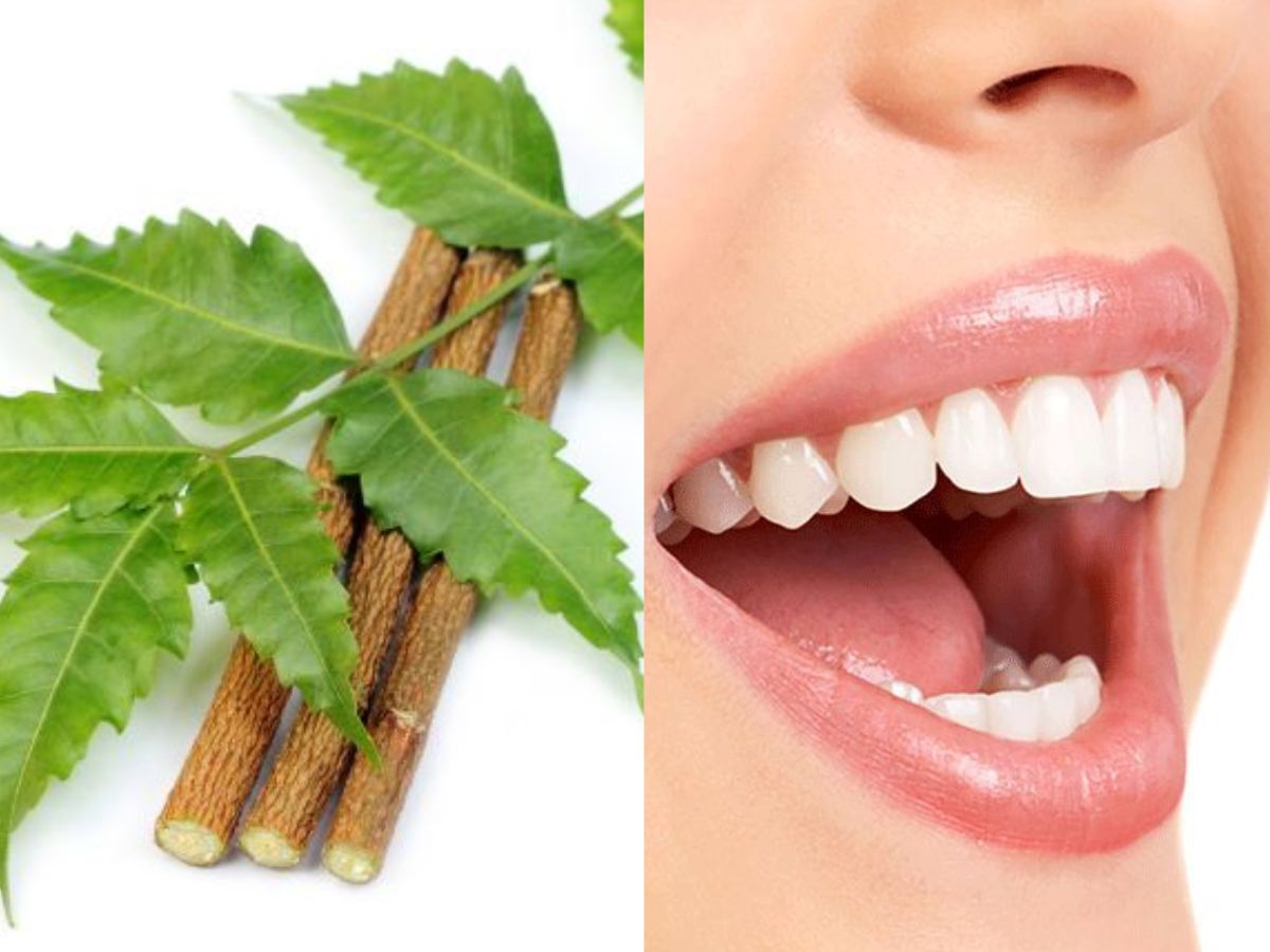 in-pics-six-powerful-reasons-neem-sticks-are-todays-ultimate-natural-toothbrushes Image Credit- Pinterest - Photo Gallery