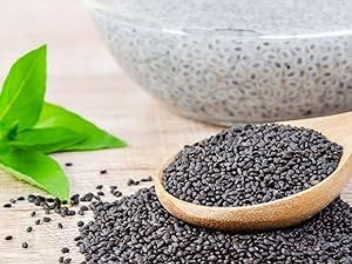 is-it-safe-to-eat-sabja-seeds-in-monsoon-health-benefits-risks-and-expert-tips Is It Safe to Eat Sabja Seeds in Monsoon? Check Facts - Photo Gallery