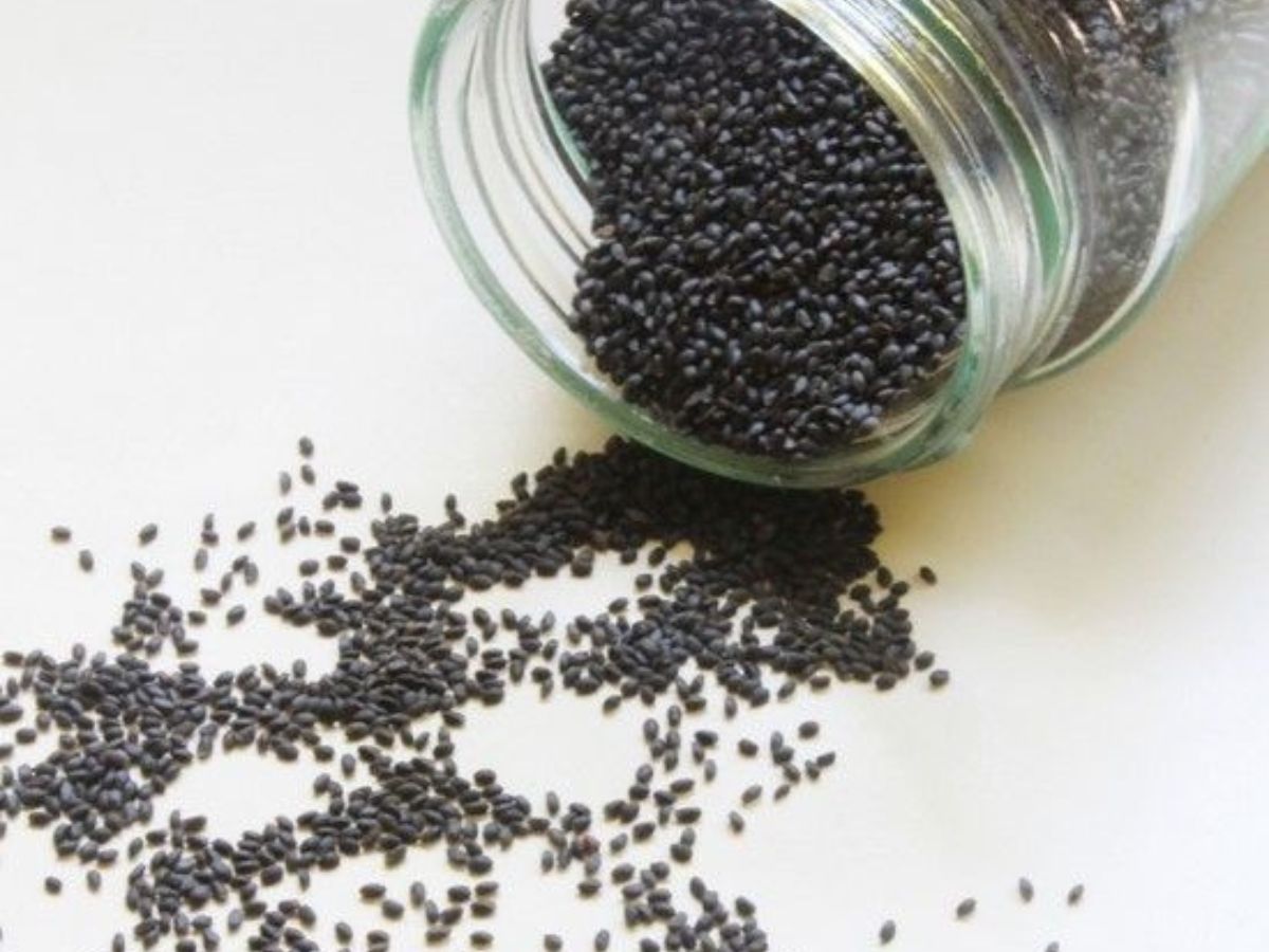 is-it-safe-to-eat-sabja-seeds-in-monsoon-health-benefits-risks-and-expert-tips Is It Safe to Eat Sabja Seeds in Monsoon? Check Facts - Photo Gallery