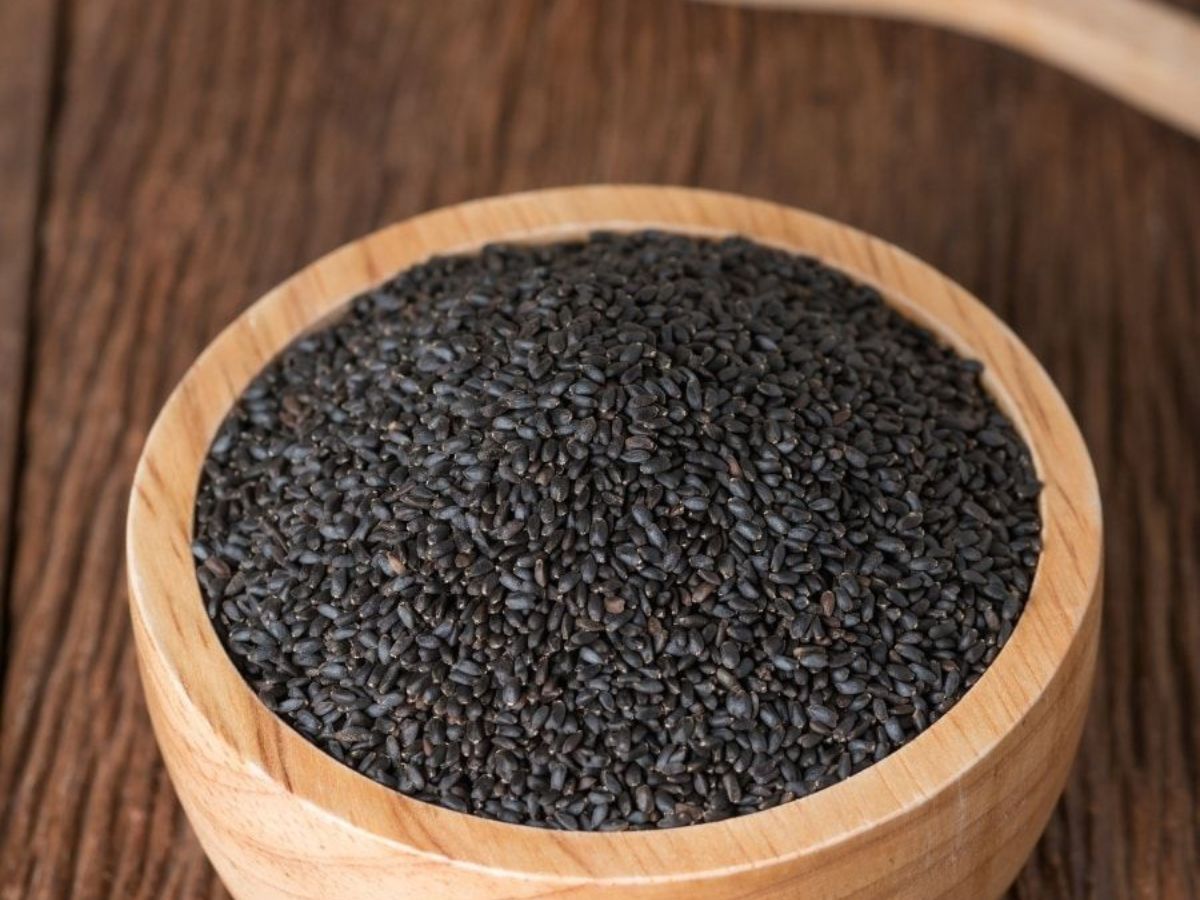 is-it-safe-to-eat-sabja-seeds-in-monsoon-health-benefits-risks-and-expert-tips Is It Safe to Eat Sabja Seeds in Monsoon? Check Facts - Photo Gallery