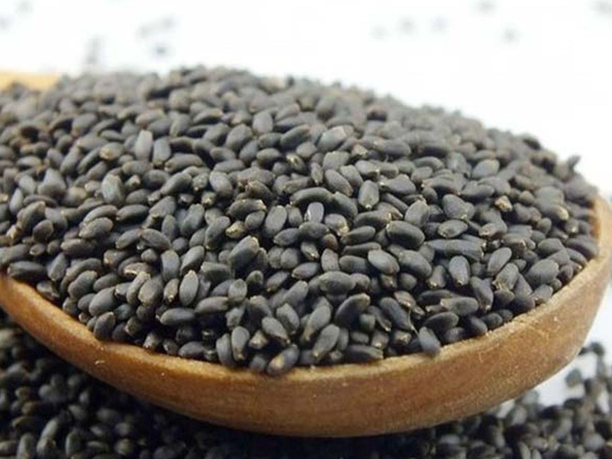 is-it-safe-to-eat-sabja-seeds-in-monsoon-health-benefits-risks-and-expert-tips Is It Safe to Eat Sabja Seeds in Monsoon? Check Facts - Photo Gallery