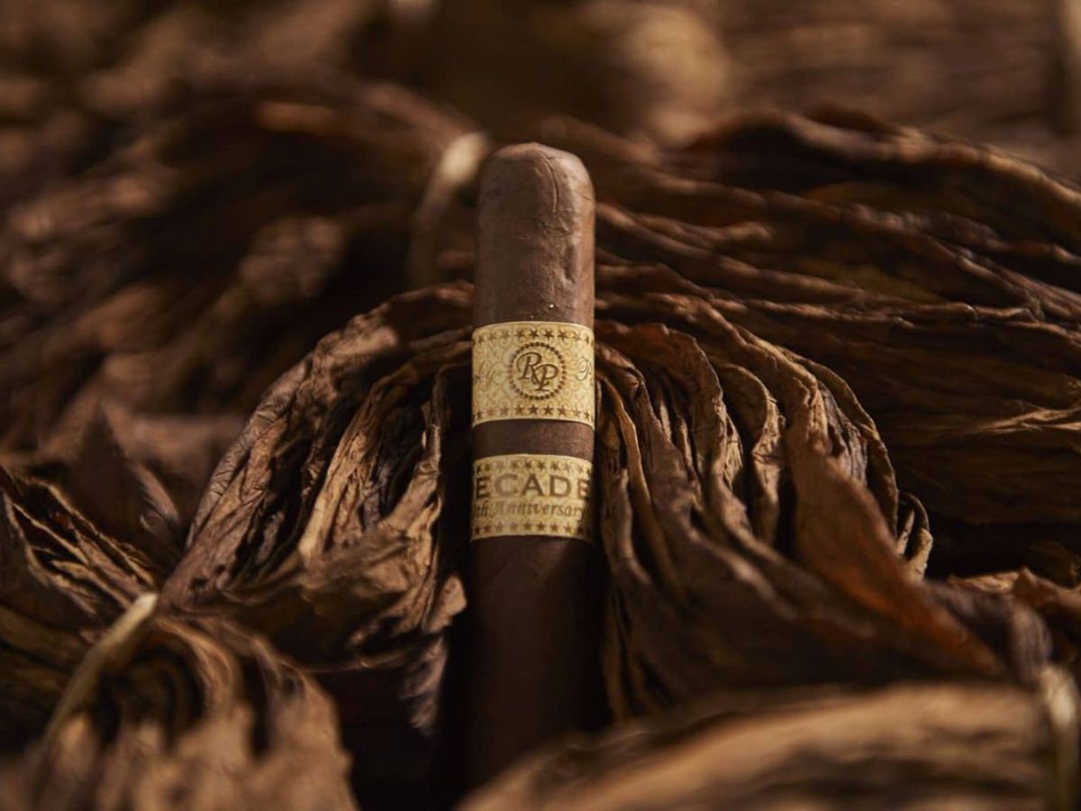 How Quitting Tobacco Can Heal Your Lungs? - Photo Gallery