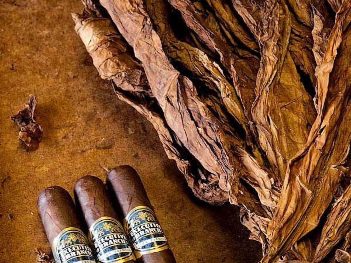 How Quitting Tobacco Can Heal Your Lungs? - Photo Gallery