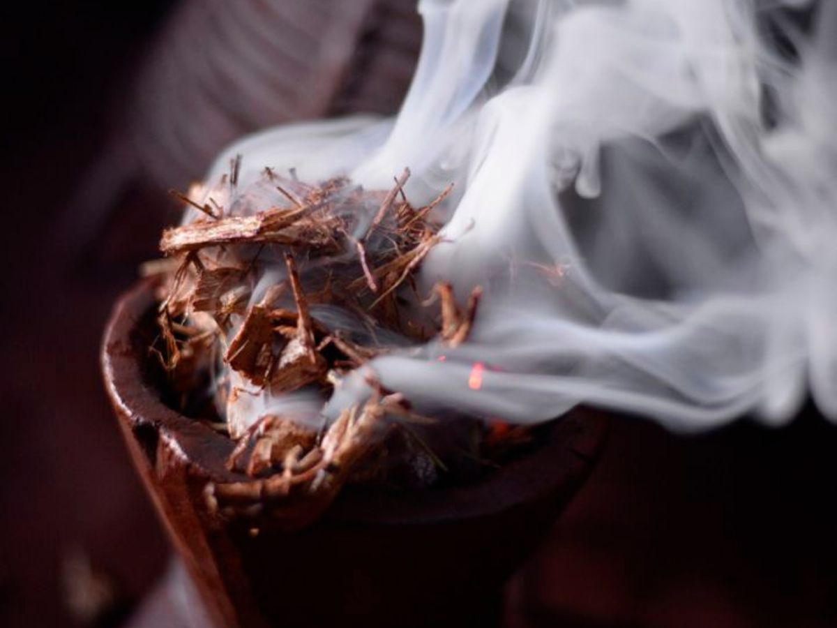 How Quitting Tobacco Can Heal Your Lungs? - Photo Gallery
