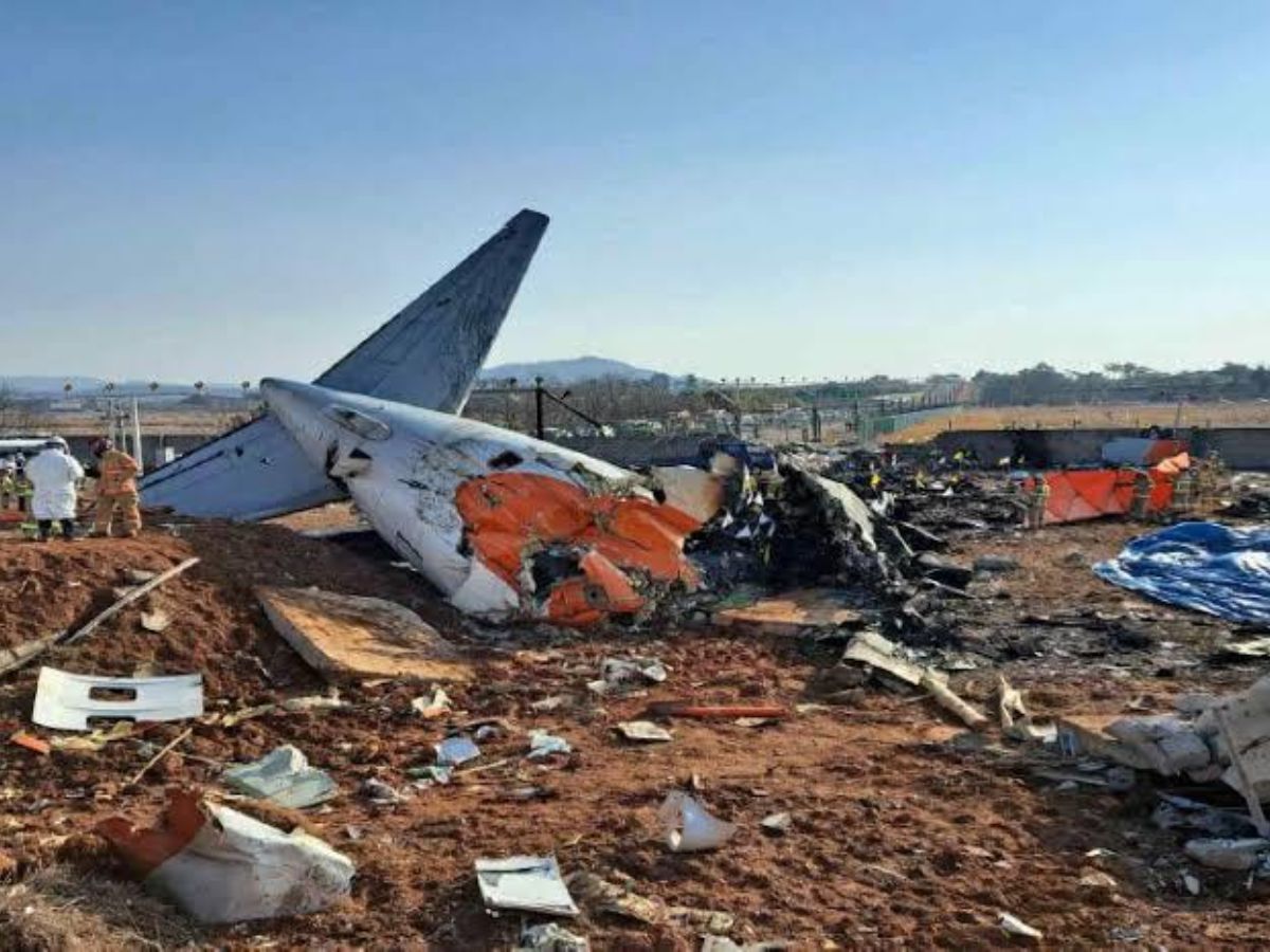 plane-crashes-images-of-tragedy-and-aftermath-in-pics Image Credit - Socials - Photo Gallery