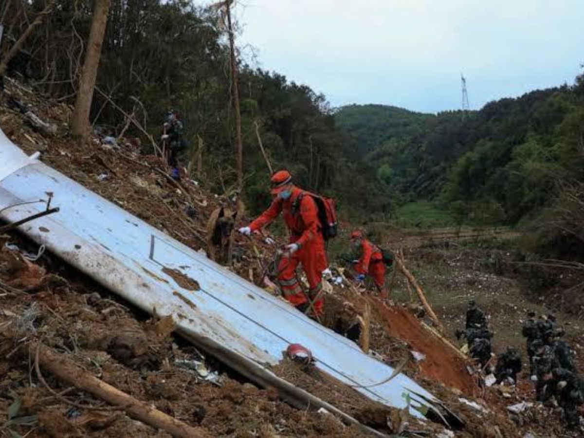 plane-crashes-images-of-tragedy-and-aftermath-in-pics Image Credit - Socials - Photo Gallery