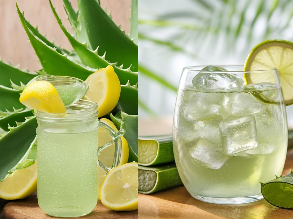 7-incredible-aloe-vera-secrets-unrevealed-encouraging-a-deeper-appreciation-of-its-holistic-value 7 Incredible Aloe Vera Secrets Unrevealed: From Skin Regenerator To Body Detoxifier - Photo Gallery