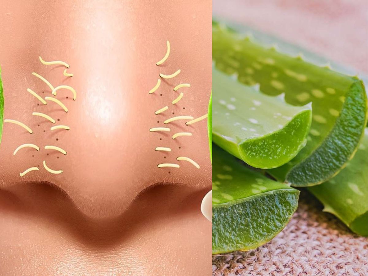 7-incredible-aloe-vera-secrets-unrevealed-encouraging-a-deeper-appreciation-of-its-holistic-value 7 Incredible Aloe Vera Secrets Unrevealed: From Skin Regenerator To Body Detoxifier - Photo Gallery