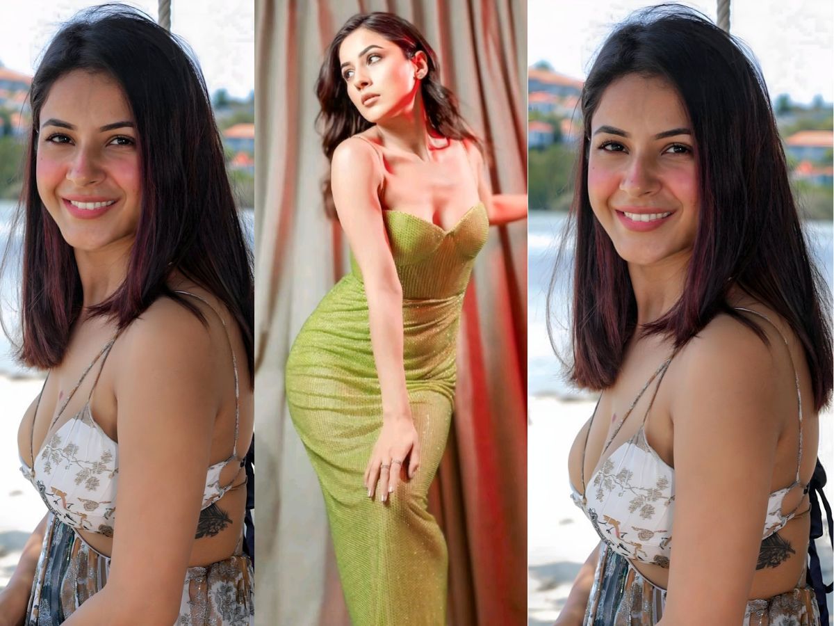 7 Hot Shehnaaz Gill Music Videos You Probably Missed - Photo Gallery
