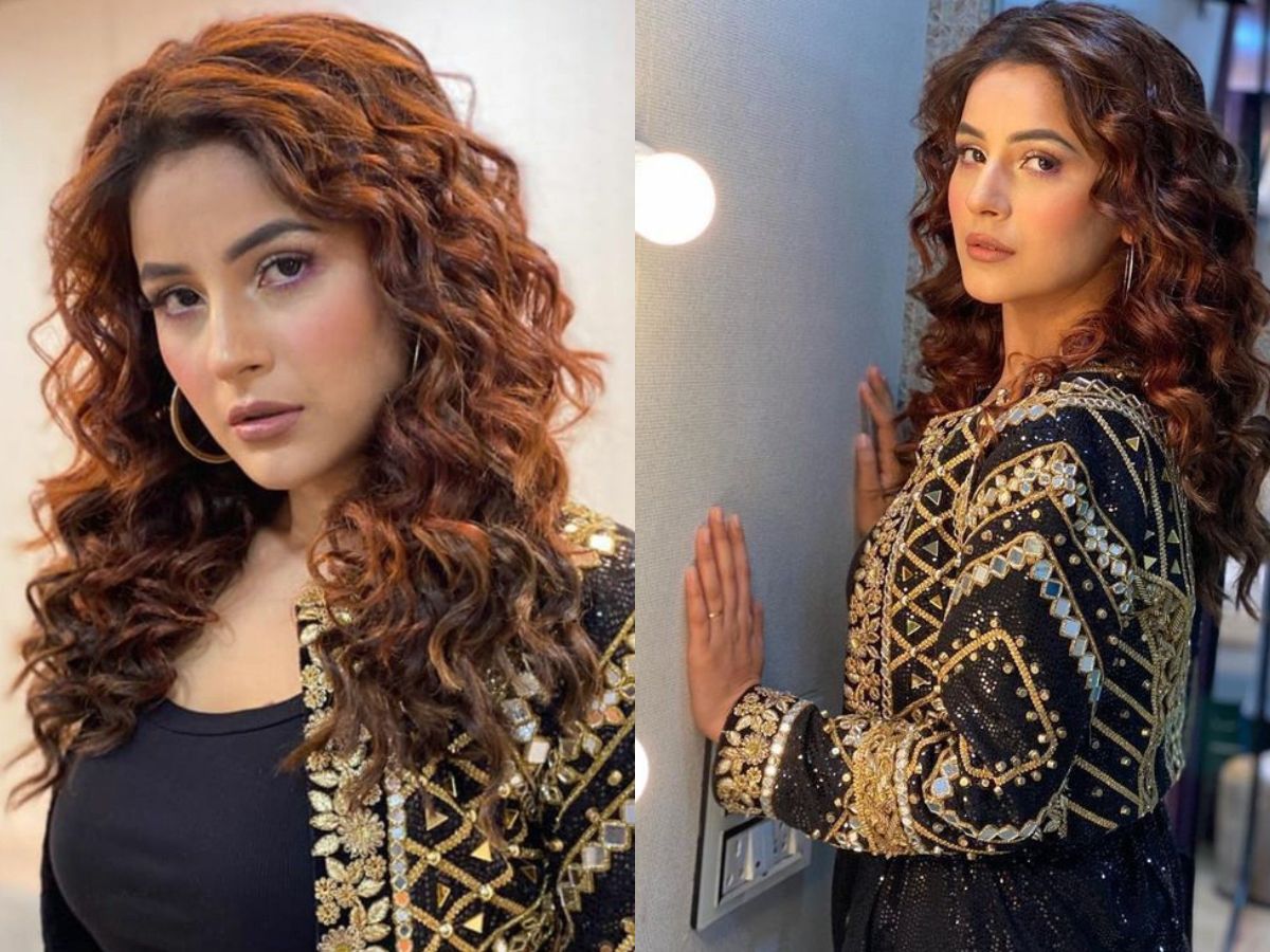 hot-performances-by-shehnaaz-gill-you-never-knew-about-in-hindi-and-punjabi 7 Hot Movie Performances by Shehnaaz Gill You Never Knew About - Photo Gallery