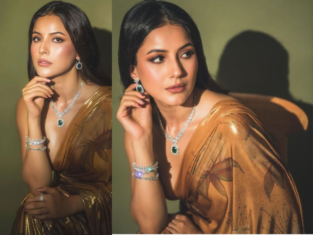 hot-performances-by-shehnaaz-gill-you-never-knew-about-in-hindi-and-punjabi 7 Hot Movie Performances by Shehnaaz Gill You Never Knew About - Photo Gallery