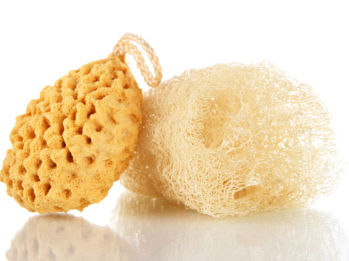 can-bathing-with-a-loofah-lead-to-skin-infections Can Bathing with a Loofah Lead to Skin Infections? - Photo Gallery