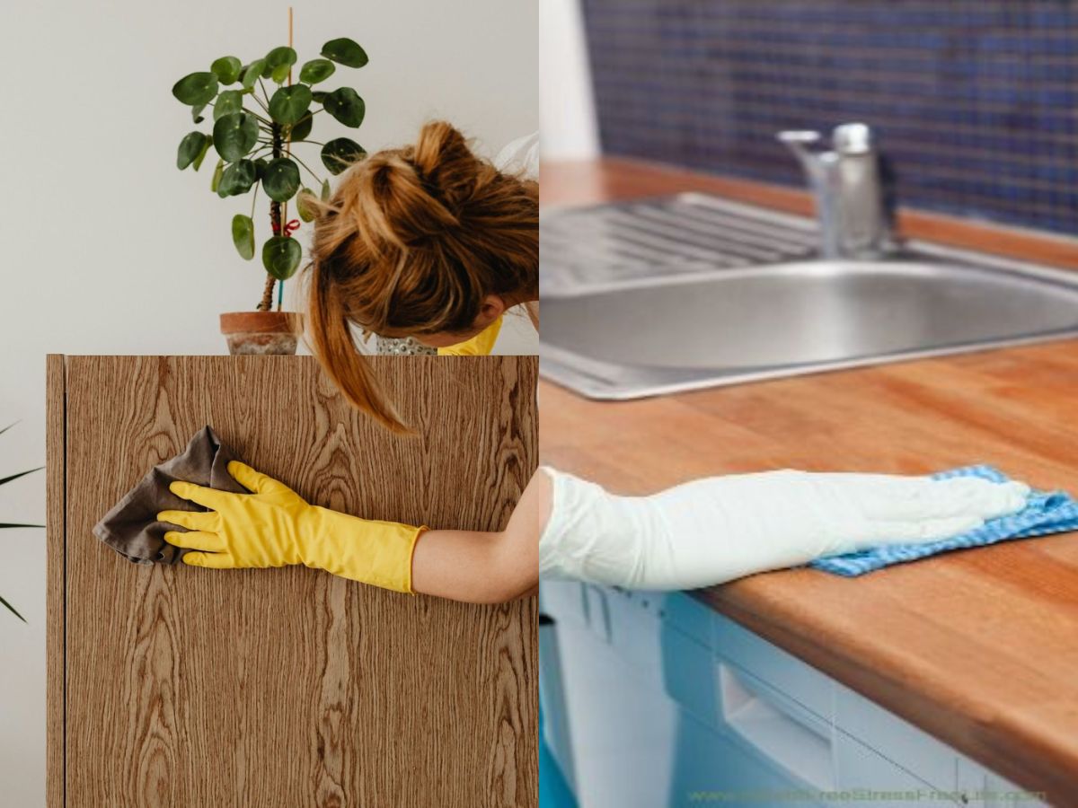7-easy-and-natural-home-remedies-to-keep-spiders-out-without-using-chemicals 7 Easy And Natural Home Remedies To Keep Spiders Out Without Using Chemicals - Photo Gallery