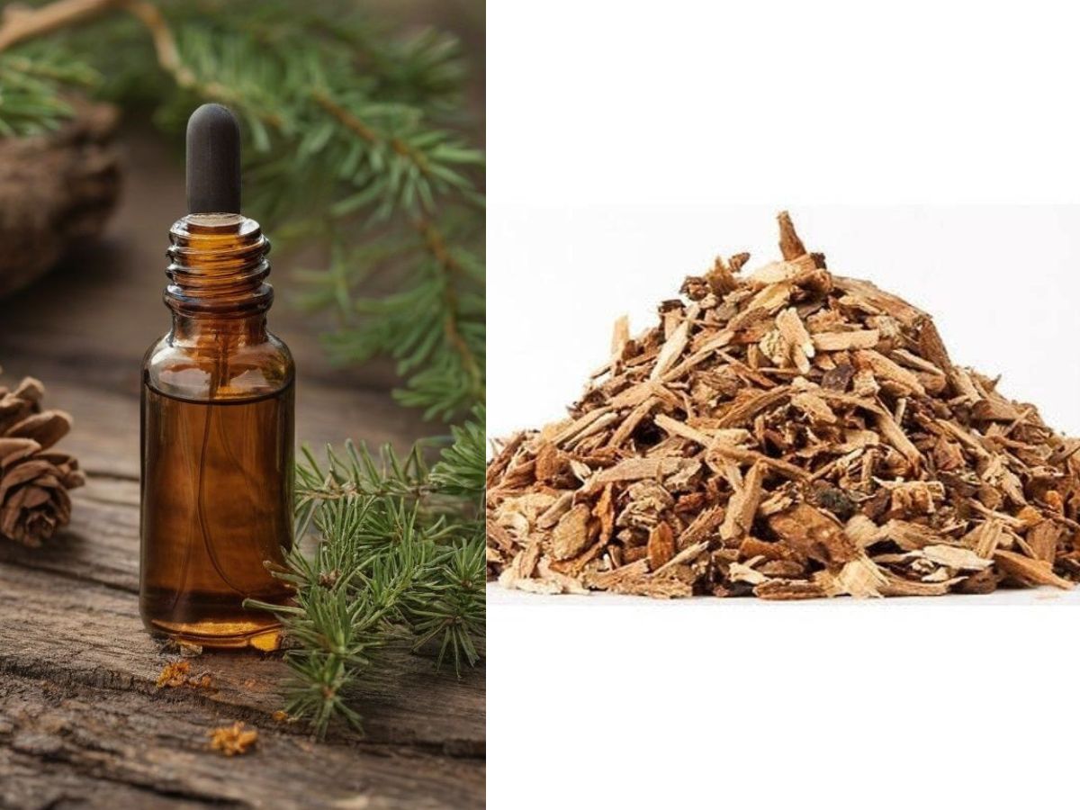 7-easy-and-natural-home-remedies-to-keep-spiders-out-without-using-chemicals 7 Easy And Natural Home Remedies To Keep Spiders Out Without Using Chemicals - Photo Gallery