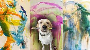meet-painting-pup-this-labrador-not-only-barks-but-also-paints-to-raise-funds-for-stray-dogs Meet the Painting Pup: Labrador Raises Funds for Stray Dogs - Photo Gallery