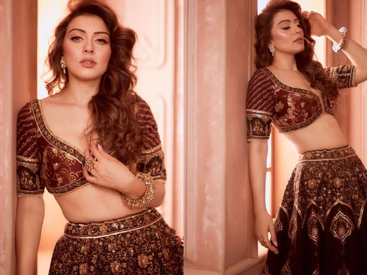 hansika-motwanis-most-iconic-lehenga-looks-that-perfectly-blend-with-contemperory-fashion-trends Hansika Motwani’s Most Iconic Lehenga Looks - Photo Gallery