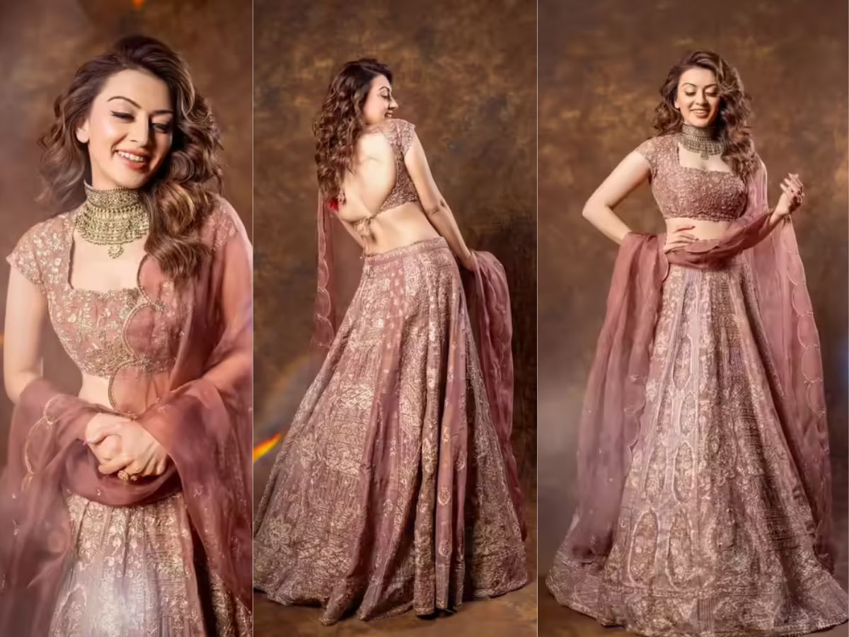 hansika-motwanis-most-iconic-lehenga-looks-that-perfectly-blend-with-contemperory-fashion-trends Hansika Motwani’s Most Iconic Lehenga Looks - Photo Gallery