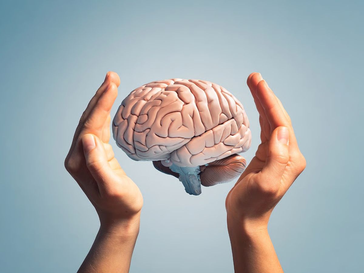 world-brain-day-2025-6-simple-daily-habits-to-keep-your-brain-young-sharp-and-healthy World Brain Day 2025: 6 Daily Habits That Can Boost Memory, Focus & Keep Your Brain Young - Photo Gallery