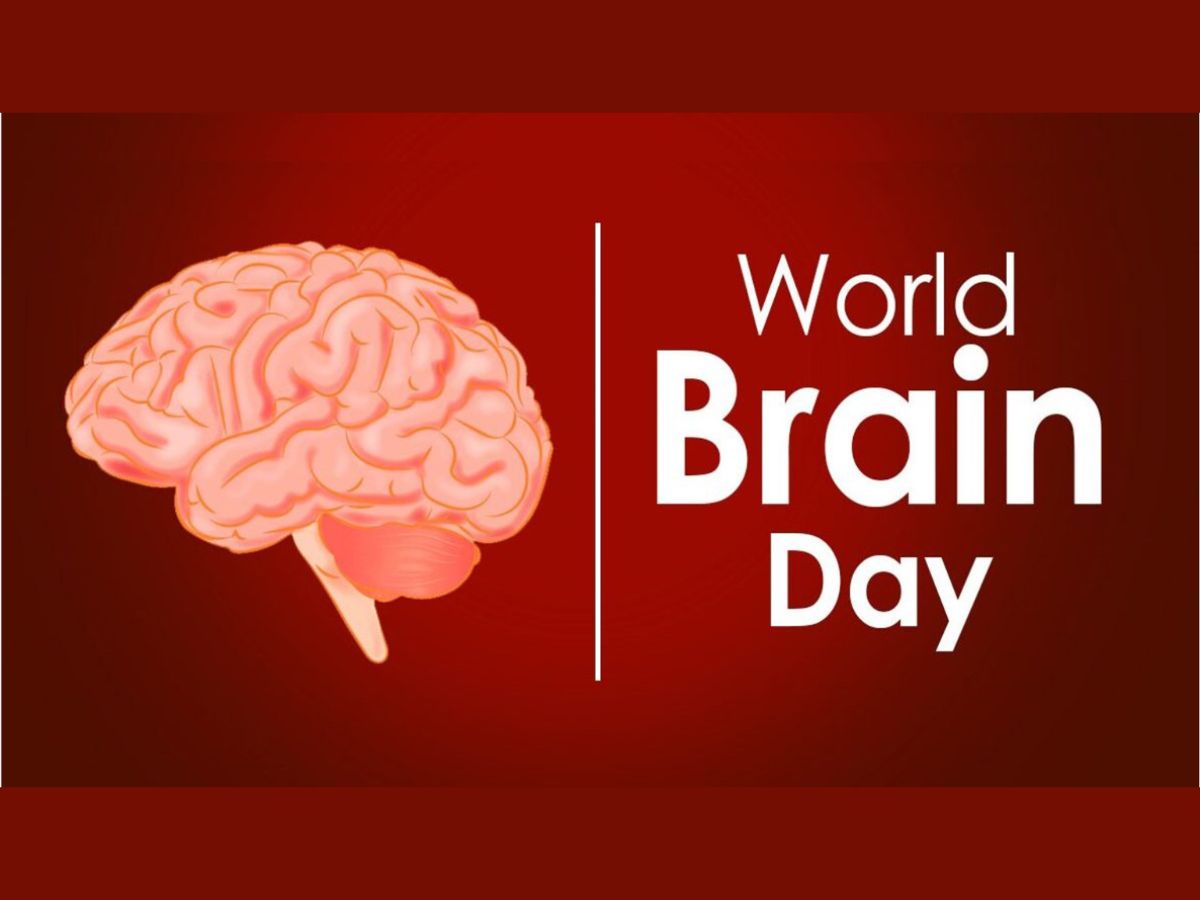 world-brain-day-2025-6-simple-daily-habits-to-keep-your-brain-young-sharp-and-healthy World Brain Day 2025: 6 Daily Habits That Can Boost Memory, Focus & Keep Your Brain Young - Photo Gallery