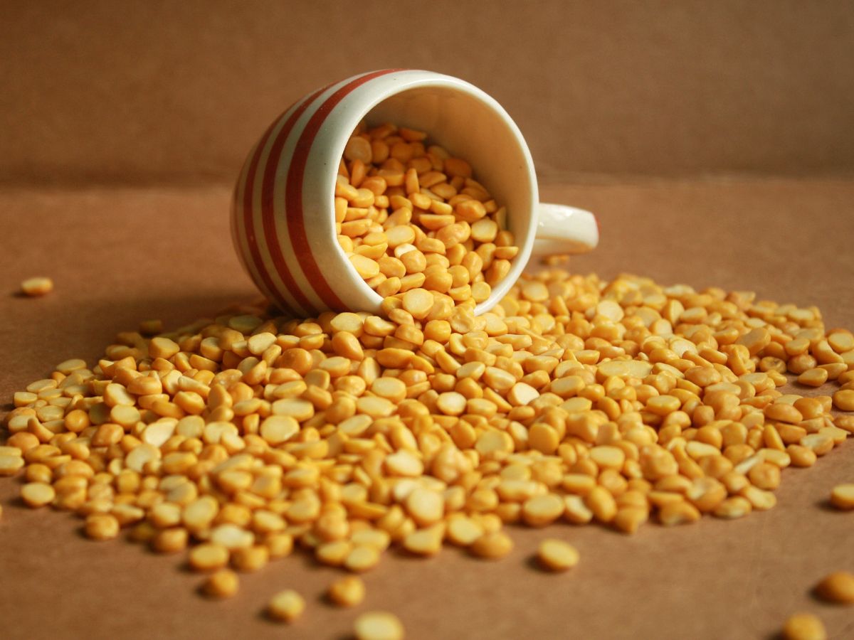 ancient-indian-foods-from-vedic-times-that-are-still-part-of-modern-diet-ghee-barley-honey-rice-lentils-milk 6 Ancient Foods Still Thriving in the Indian Diet Since Vedic Times - Photo Gallery
