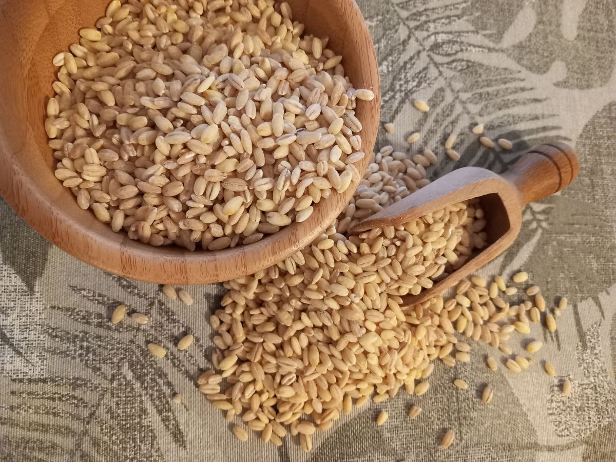 ancient-indian-foods-from-vedic-times-that-are-still-part-of-modern-diet-ghee-barley-honey-rice-lentils-milk 6 Ancient Foods Still Thriving in the Indian Diet Since Vedic Times - Photo Gallery