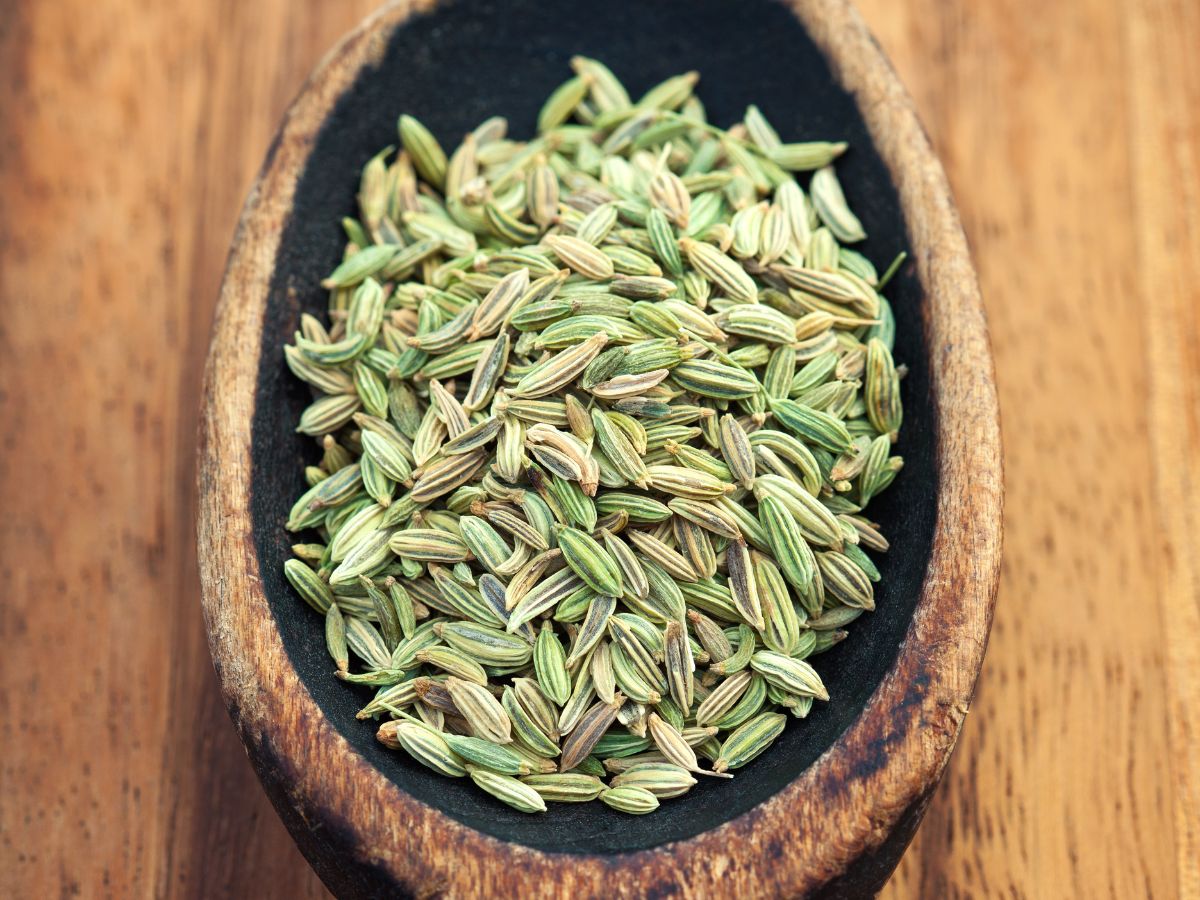 why-people-prefer-saunf-after-dinner-for-better-digestion-and-fresh-breath-health-benefits-of-fennel-seeds Why People Prefer Saunf After Dinner? - Photo Gallery