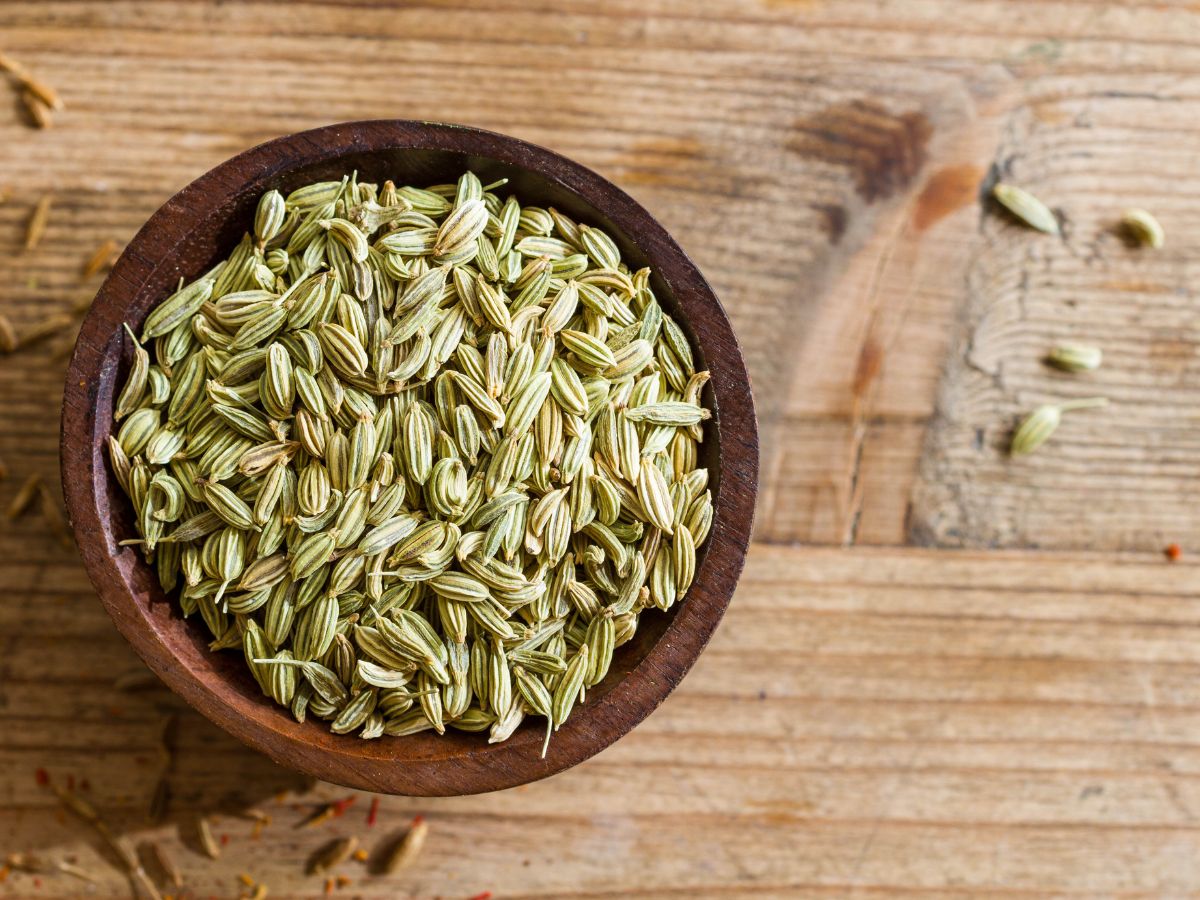 why-people-prefer-saunf-after-dinner-for-better-digestion-and-fresh-breath-health-benefits-of-fennel-seeds Why People Prefer Saunf After Dinner? - Photo Gallery