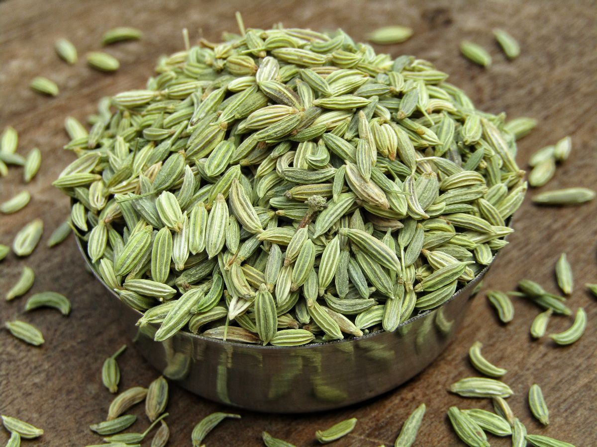 why-people-prefer-saunf-after-dinner-for-better-digestion-and-fresh-breath-health-benefits-of-fennel-seeds Why People Prefer Saunf After Dinner? - Photo Gallery